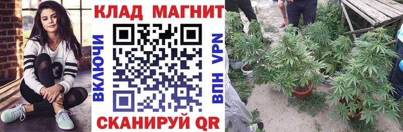 Магазины продажи наркотиков Кудрово АМФЕТАМИН APVP МЕФ ссылка на мегу как войти МАРИХУАНА Метадон