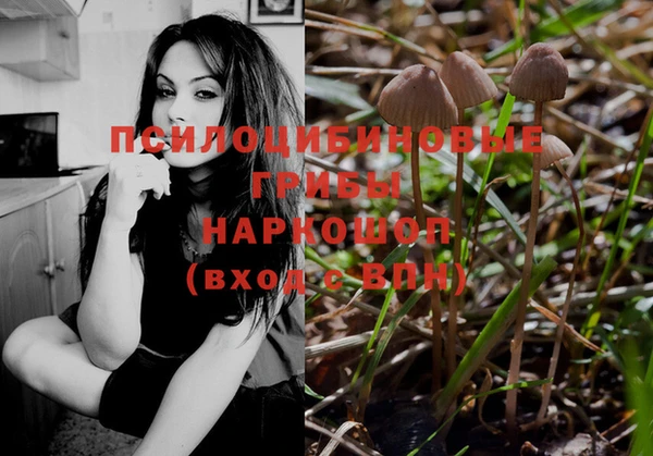 сатива Алексеевка