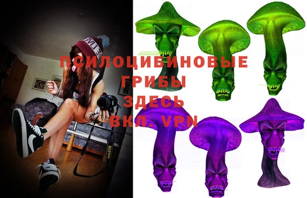 МДПВ Алзамай