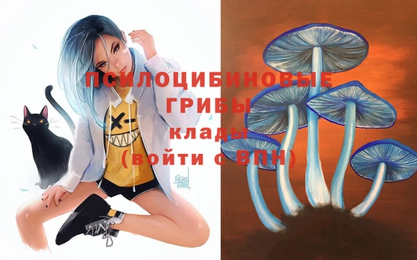 МДПВ Алзамай