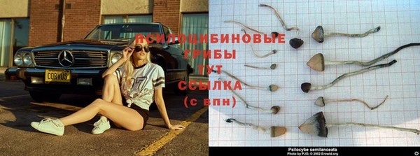 МДПВ Алзамай