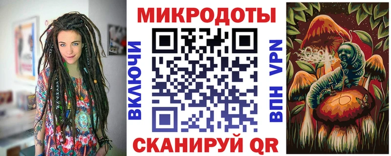 где можно купить   Кудрово  Галлюциногенные грибы Magic Shrooms 