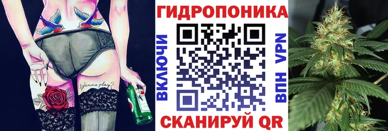 Конопля индика дарнет шоп Кудрово
